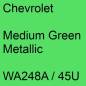 Preview: Chevrolet, Medium Green Metallic, WA248A / 45U.